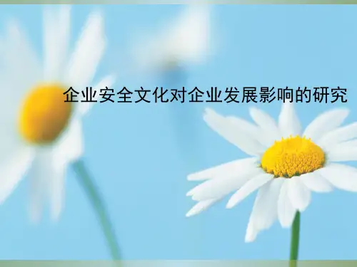 《安全文化建设培训》PPT课件