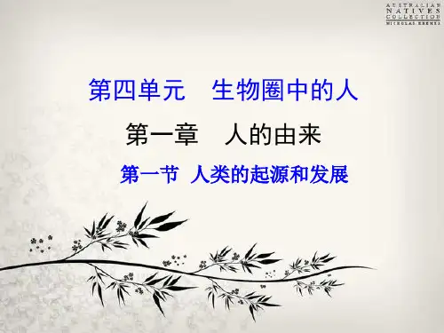 第一节人类的起源和发展(人教版生物)