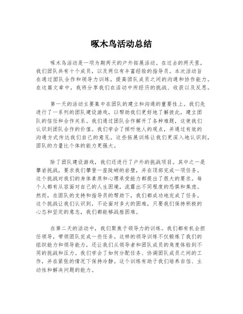啄木鸟活动总结