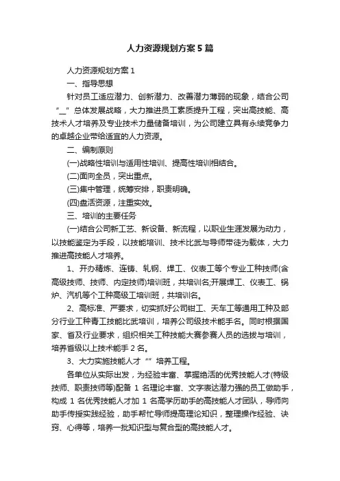 人力资源规划方案5篇