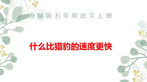 统编版五年级语文上册7什么比猎豹的速度更快课件(共28张PPT)