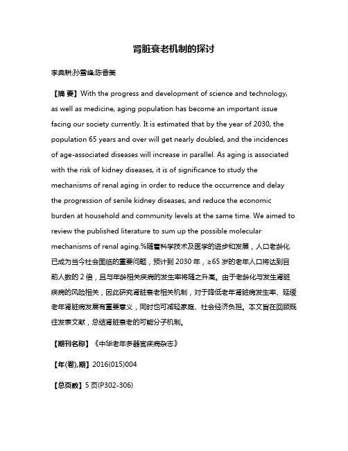 肾脏衰老机制的探讨