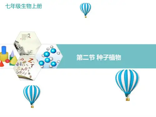 最新人教版生物七年级上册《种子植物》精品教学课件