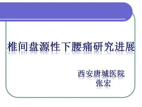椎间盘源性下腰痛研究进展-张宏-已培训