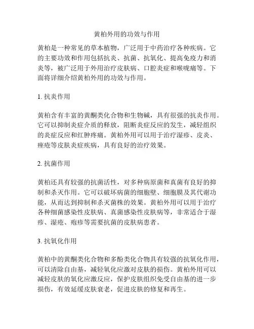 黄柏外用的功效与作用