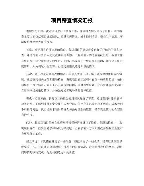 项目稽查情况汇报