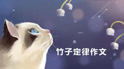 2023届高考写作指导：竹子定律 作文 课件33张