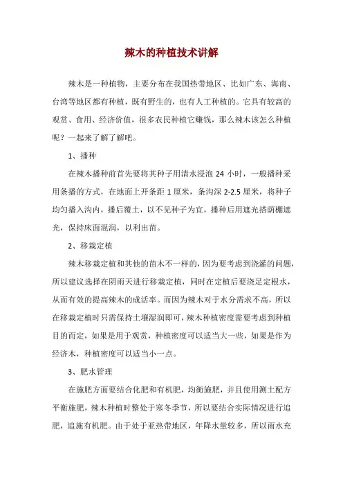 辣木的种植技术讲解