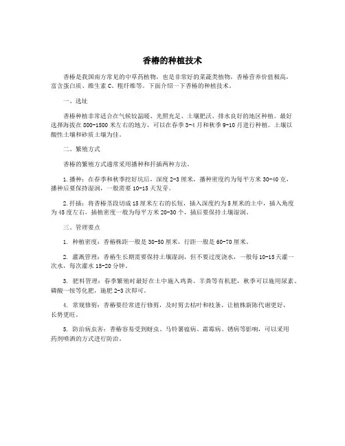 香椿的种植技术