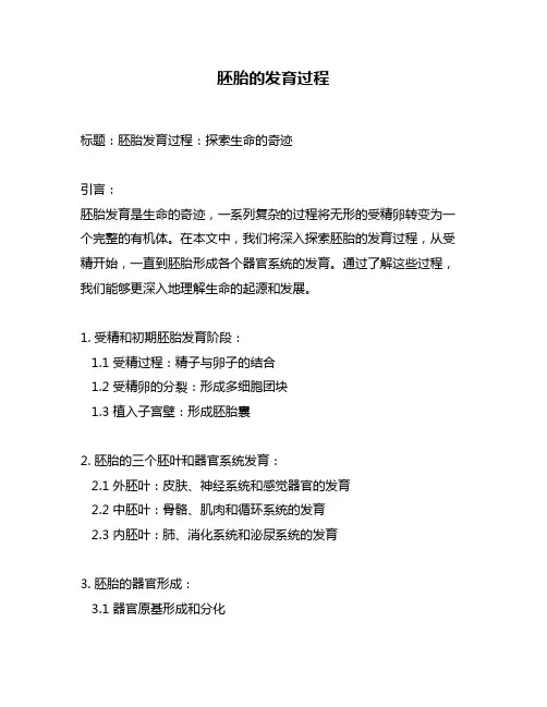 胚胎的发育过程