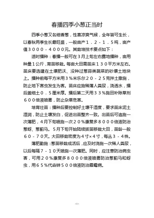 春播四季小葱正当时          