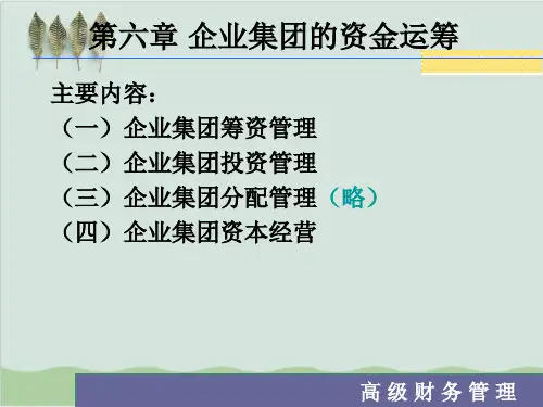 企业集团的资金运筹管理PPT课件( 41页)