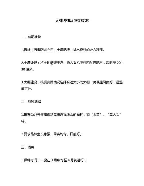 大棚甜瓜种植技术