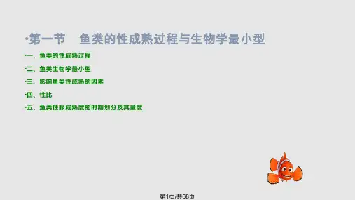 鱼类的性成熟繁殖力及其研究方法PPT课件