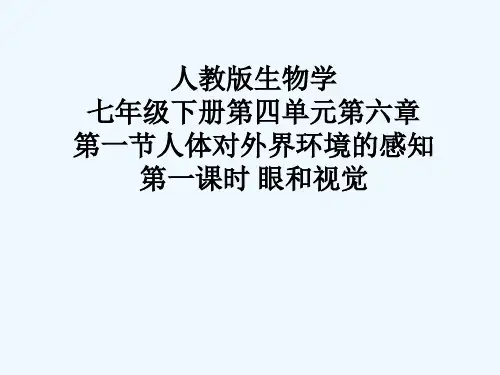 人体对外界环境的感知  第一课时 眼和视觉精品PPT课件