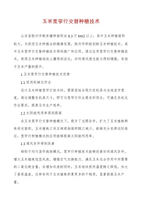 玉米宽窄行交替种植技术