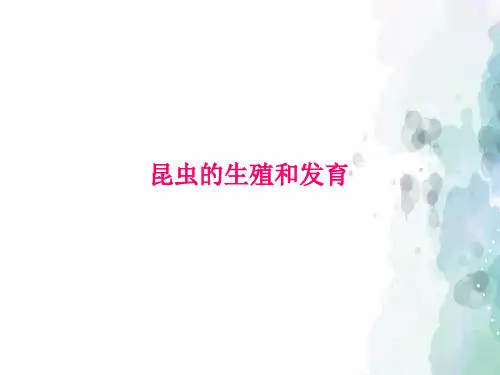 人教版-生物-八年级下册 7.1.2 昆虫的生殖和发育 课件 新人教版