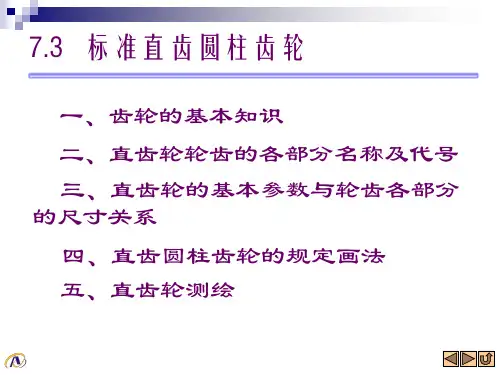标准直齿圆柱齿轮