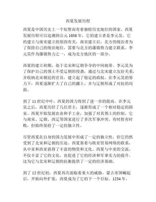 西夏发展历程