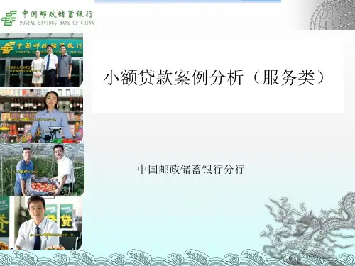 银行小额贷款案例分析(服务类)