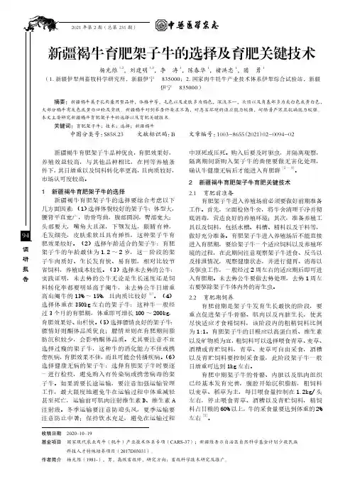 新疆褐牛育肥架子牛的选择及育肥关键技术