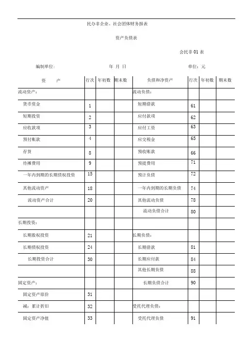 社会团体财务报表