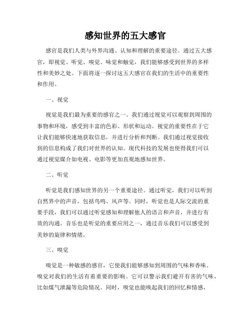 感知世界的五大感官