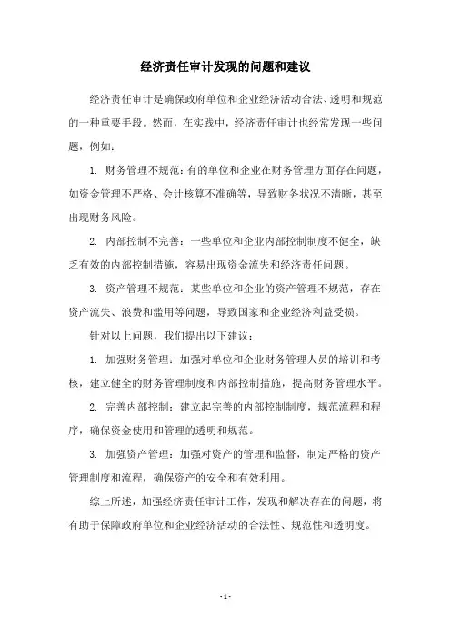 经济责任审计发现的问题和建议