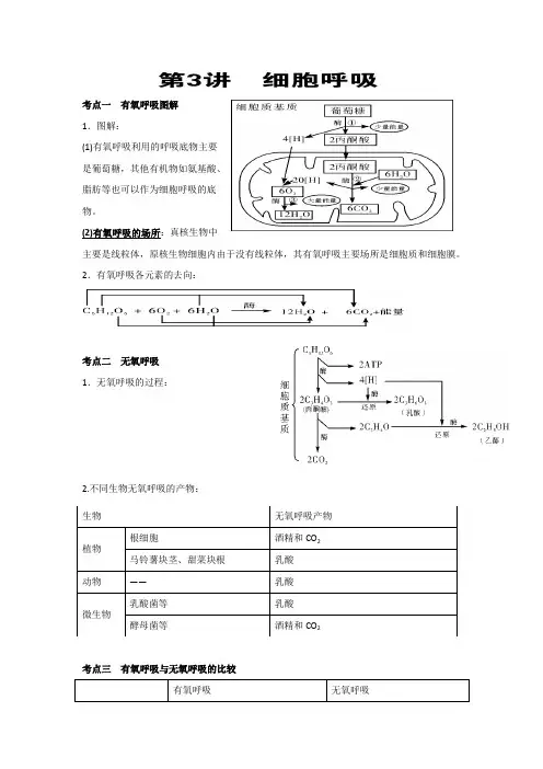 高考光合作用和呼吸作用考点