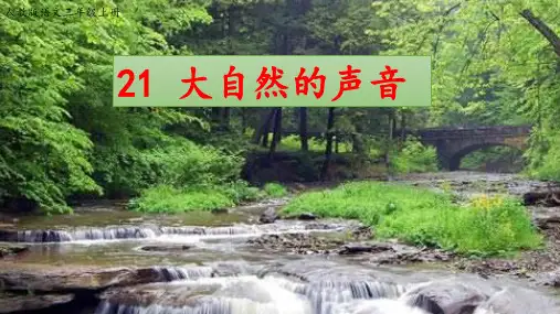 《大自然的声音》PPT课件(共27张PPT)精选全文