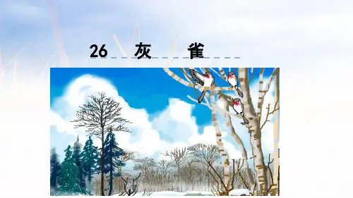 【人教部编版小学语文】灰雀PPT优秀课件1