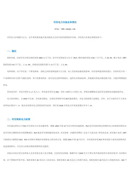 印尼电力市场总体情况