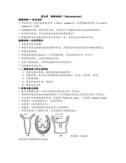 第五章  腔肠动物门