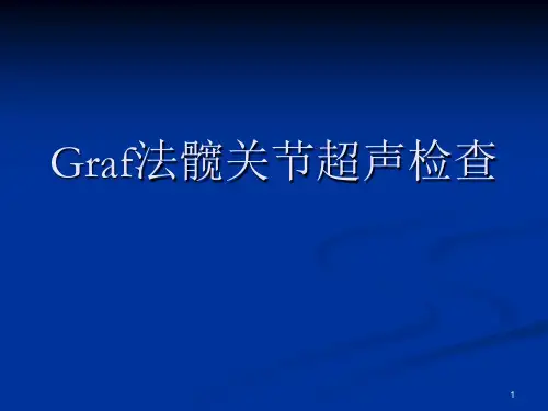 Graf法髋关节超声检查课件