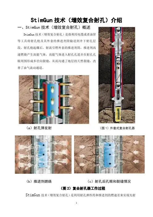 复合射孔(StimGun)简介