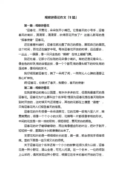 观察迎春花作文「5篇」