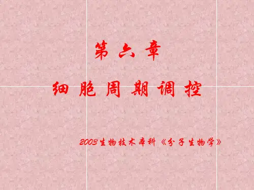 细胞周期的调控