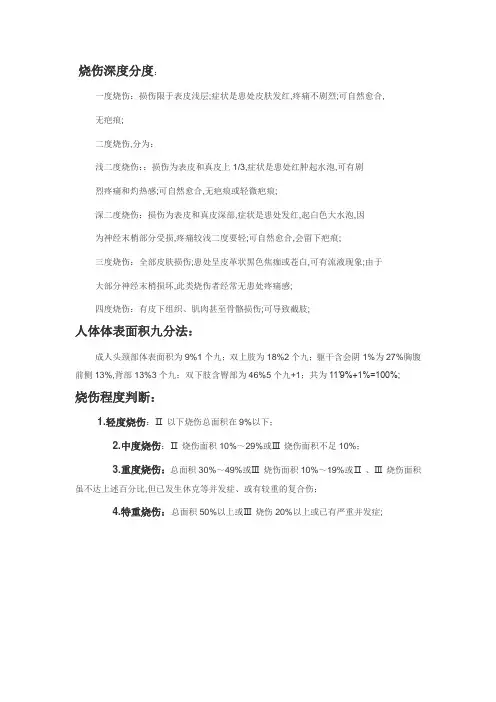 烧伤深度分度