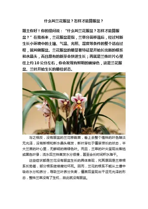 什么叫兰花服盆？怎样才能算服盆？
