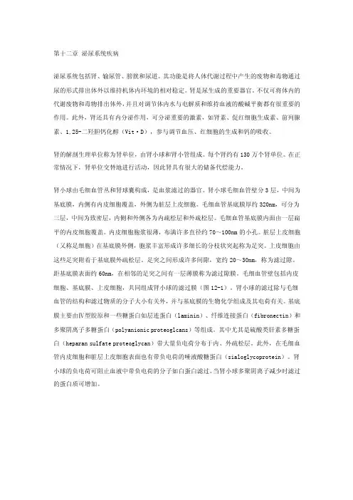 第十二章泌尿系统疾病病理解剖学教案
