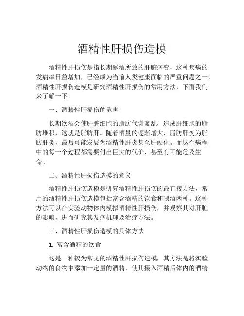 酒精性肝损伤造模