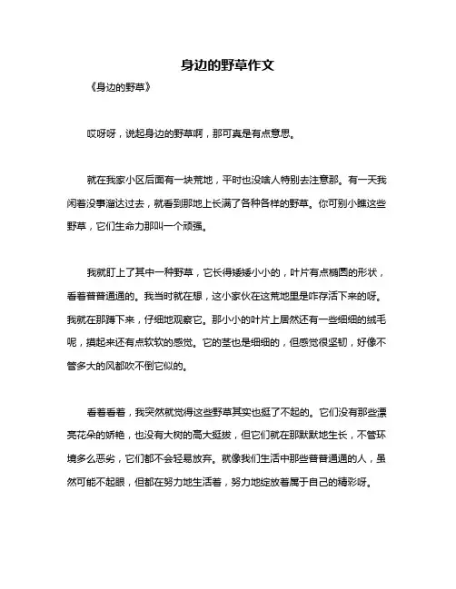 身边的野草作文