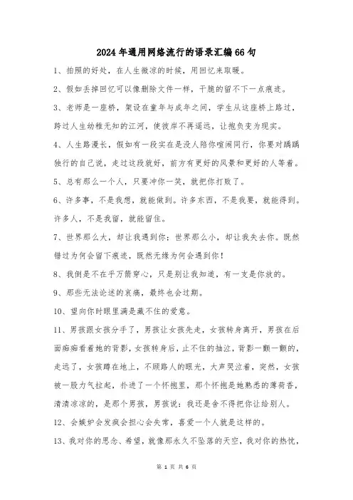 2024年通用网络流行的语录汇编66句