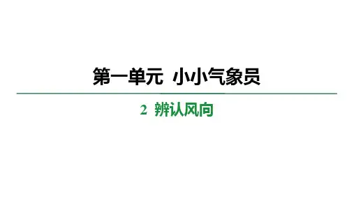 1.2 辨认风向 学案课件 大象版科学三年级上册