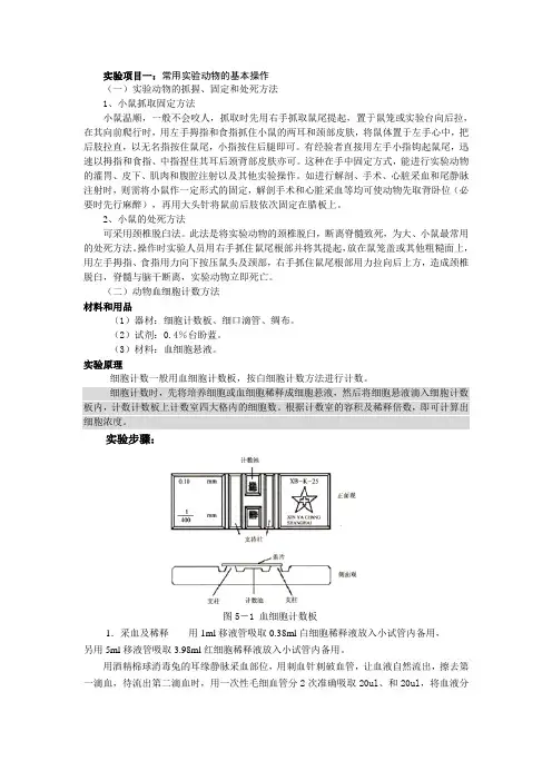 实验指导书(生理学部分)