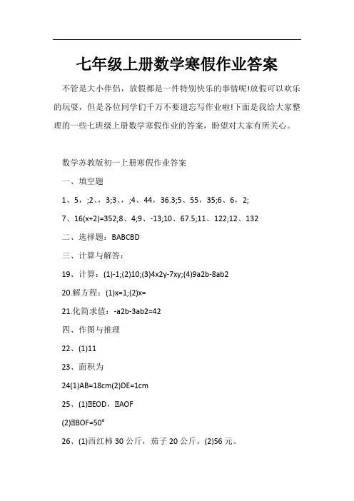 七年级上册数学寒假作业答案