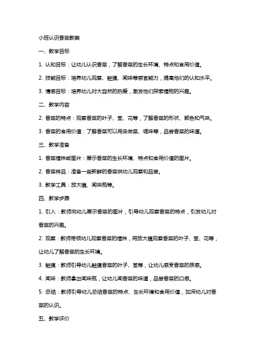 小班认识香菜教案