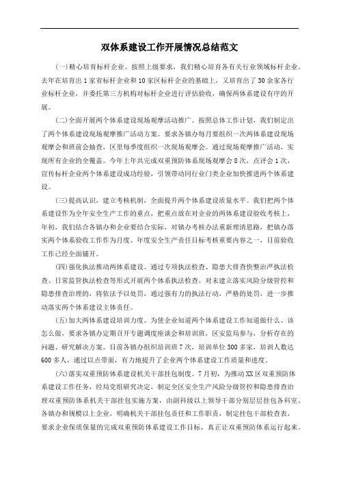 双体系建设工作开展情况总结范文