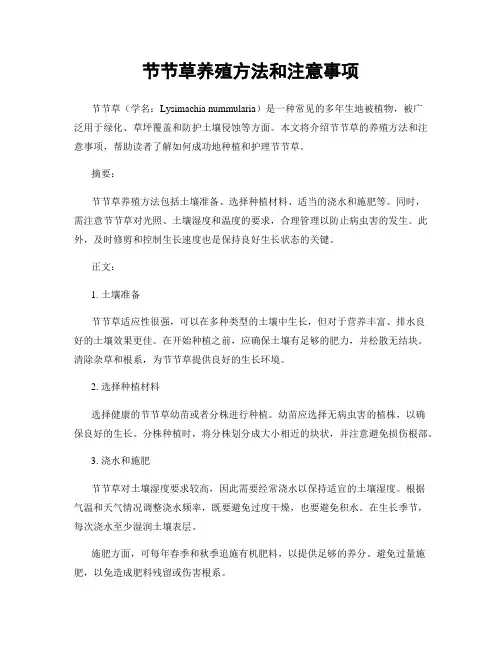 节节草养殖方法和注意事项