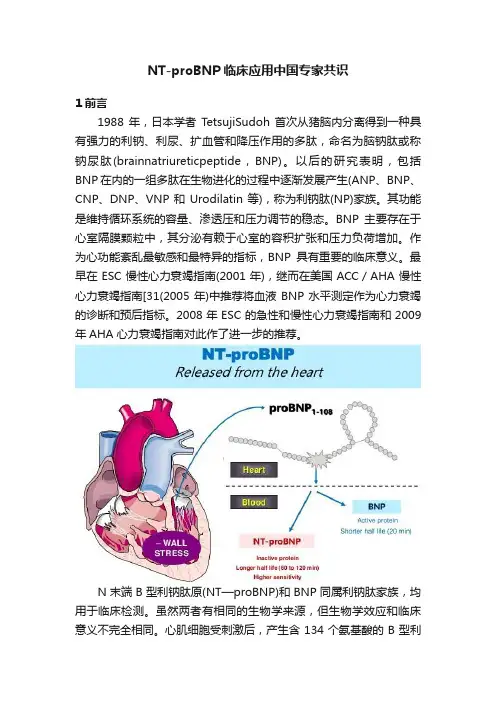 NT-proBNP临床应用中国专家共识